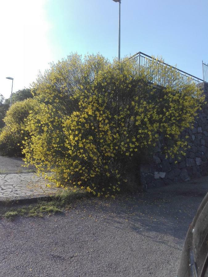 Ai Tre Archi Di Tagliaborse Villa Mascali Bagian luar foto